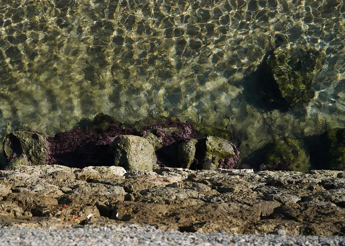 Lindas Convent Garden 1 *