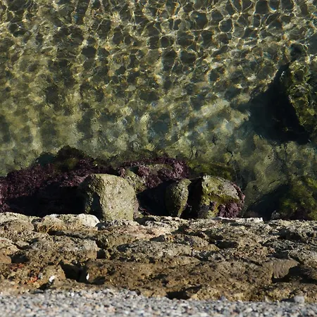 Lindas Convent Garden 1 *